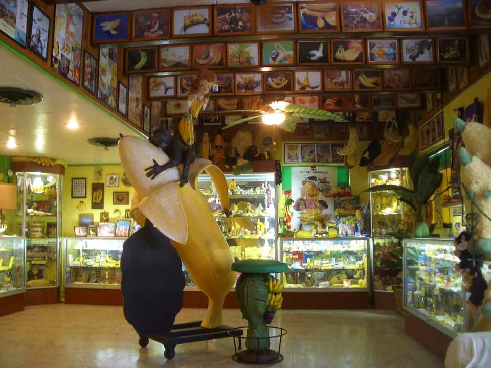 museu da banana