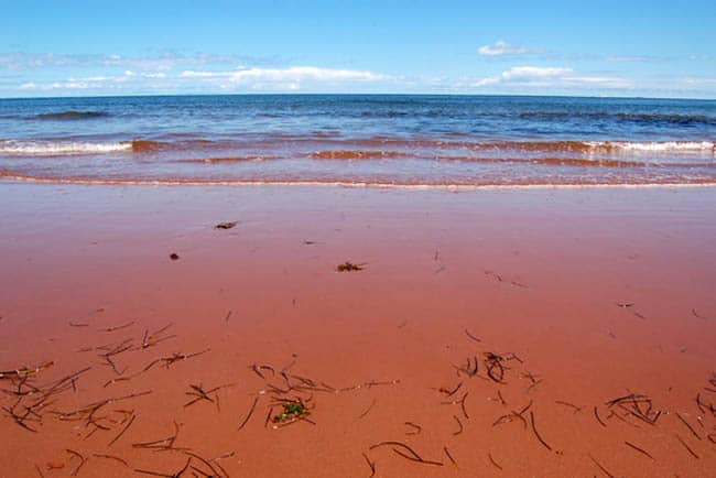 red-sand-beach1