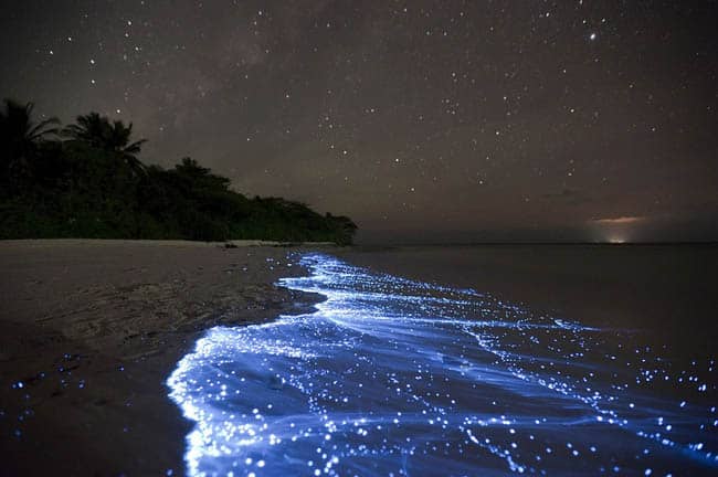 vaadhoo-maldives-bioluminescent-beach