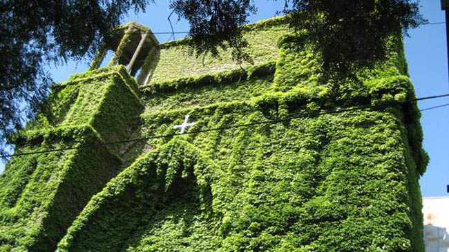 igreja verde-bsas