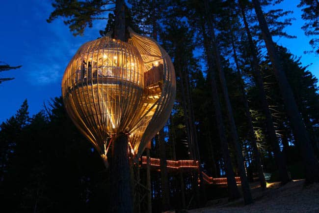 redwoods-treehouse10