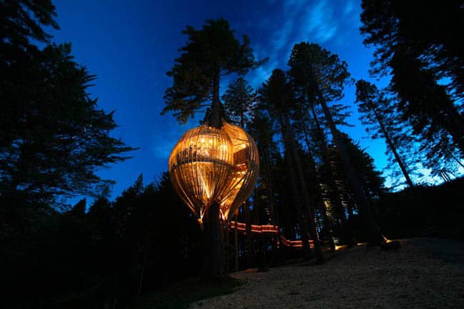 redwoods-treehouse4