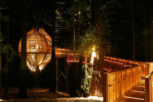 redwoods-treehouse8