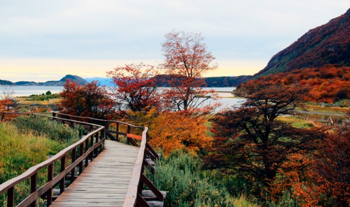 Parque Nacional Tierra del Fuego - Verão - Manhã
