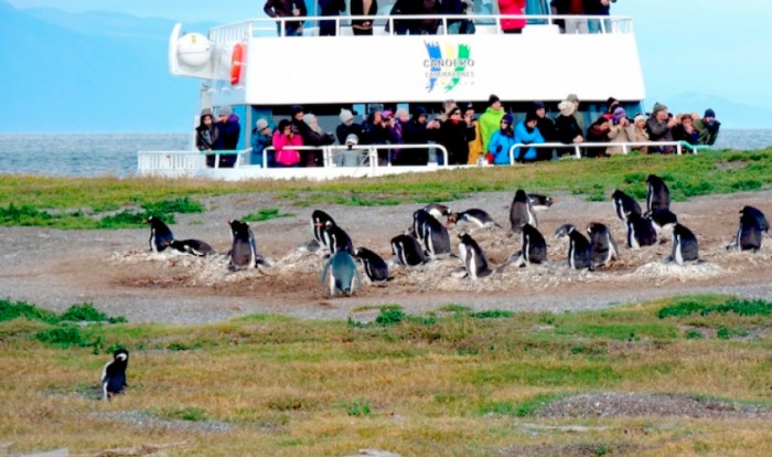 Navegação Pinguinera