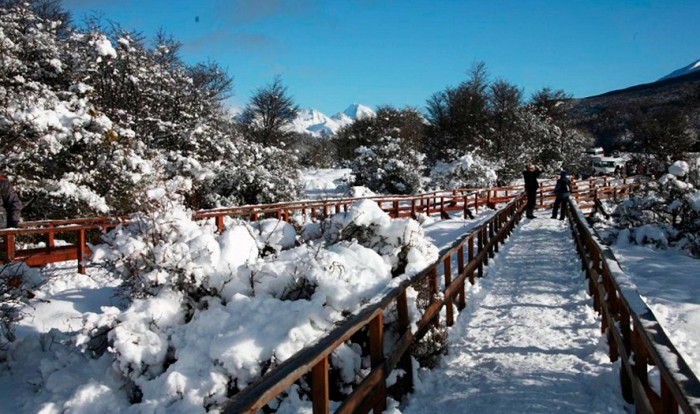 Parque Nacional Tierra del Fuego - Inverno - Manhã