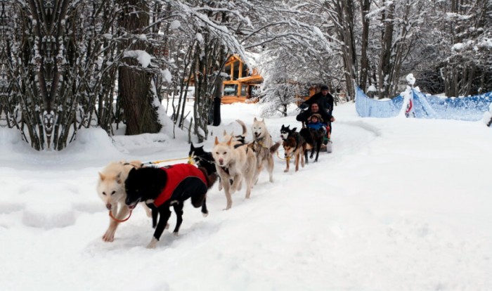 Aventura e Neve com Trenó - Inverno