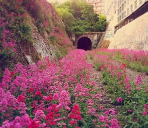 La Petite Ceinture: boa opção de passeio gratuito em Paris