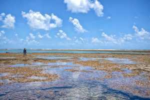 15 piscinas naturais no Brasil que você precisa conhecer