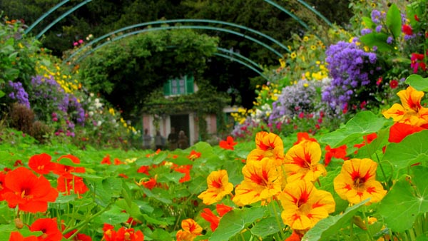 Jardins da Fundação de Claude Monet são ótima opção de passeio próximo a Paris
