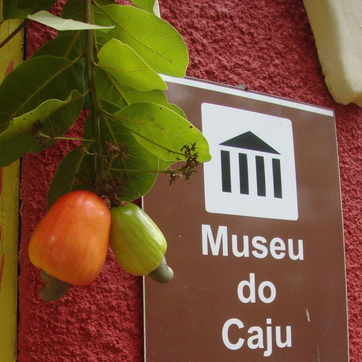 Museu do Caju é atração cultural diferente no Ceará