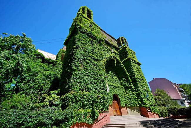 Sabia que existe uma igreja coberta de trepadeiras em Buenos Aires?