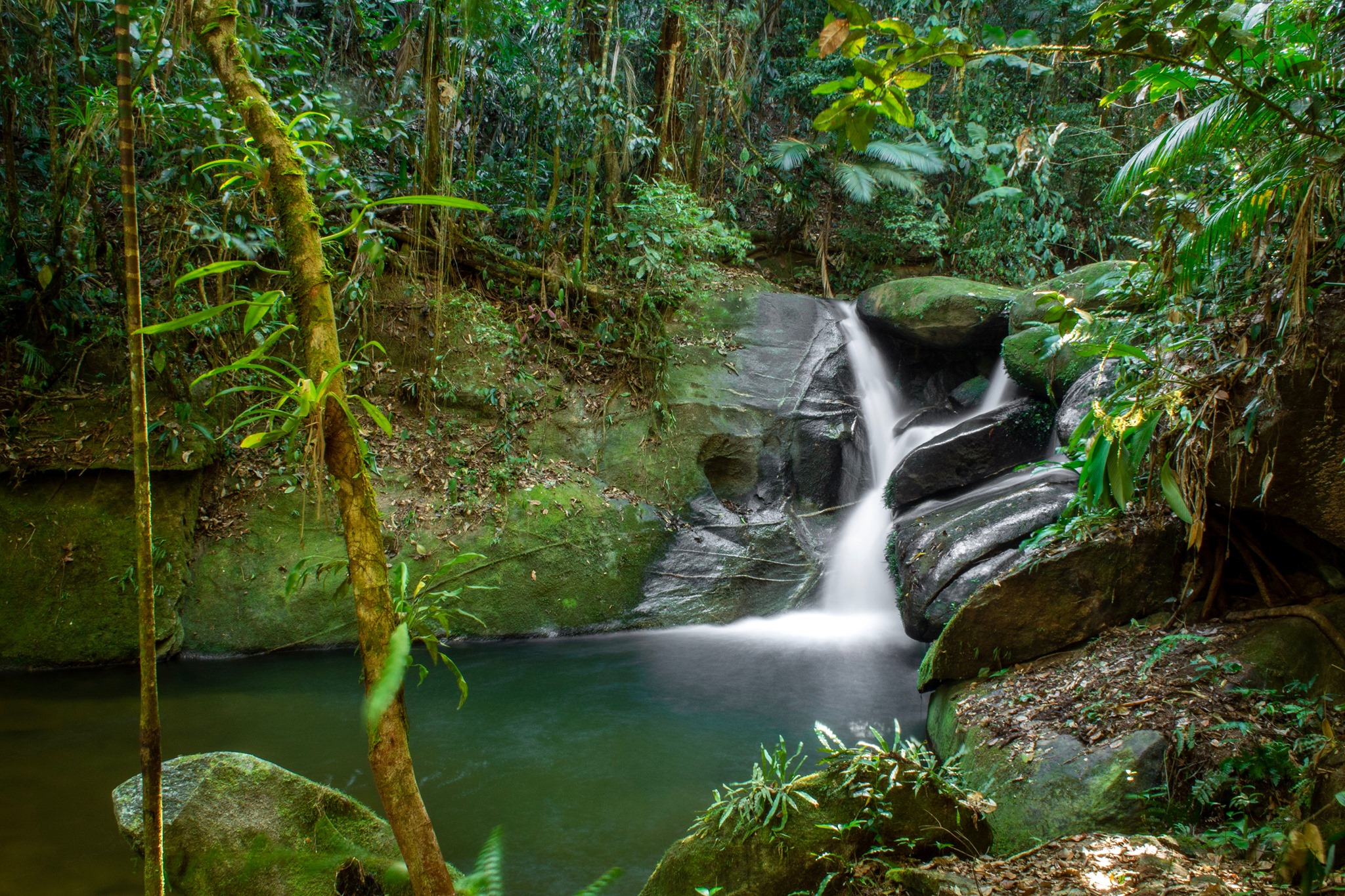 São Paulo tem lugares secretos que você nunca imaginou.