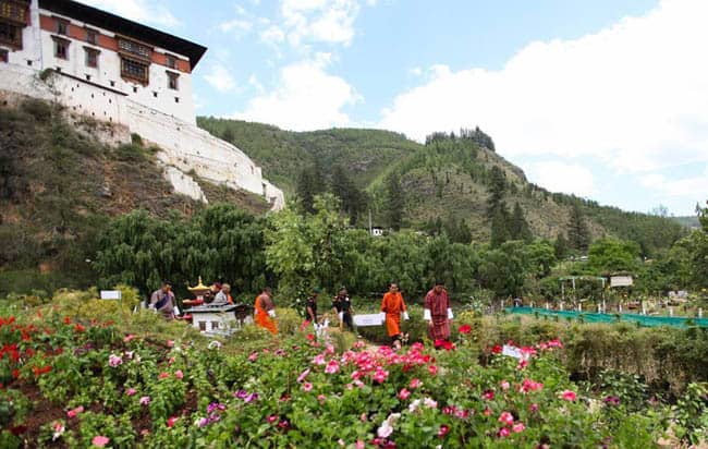 Butão incentiva turistas a plantarem árvores quando visitam o país