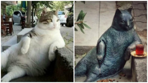 Istambul tem estátua do ‘gato mais tranquilo do mundo’