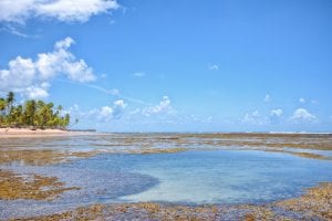 Descubra os encantos da Península de Maraú, no Sul da Bahia