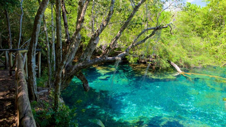 As incríveis lagoas azuis do parque ecológico Ojos Indígenas, em Punta Cana