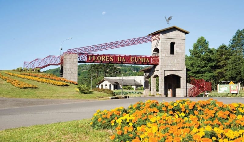 Resultado de imagem para Flores da Cunha