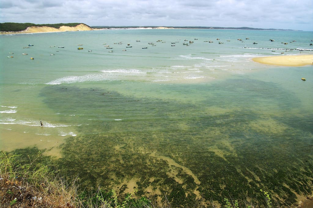 Baía Formosa une natureza e praias lindas no Rio Grande do Norte