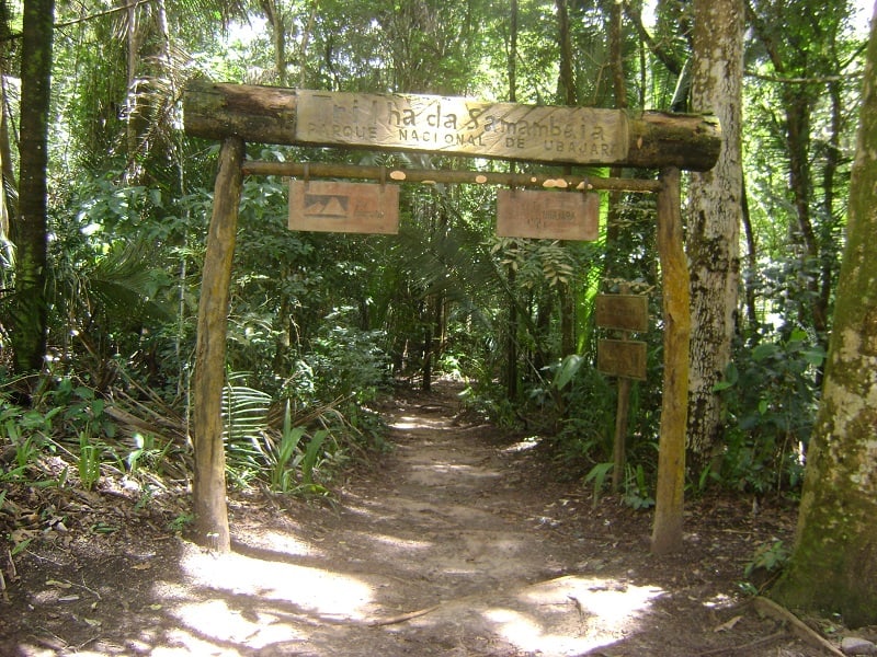 Trilha da Samambaia - Parque Nacional de Ubajara