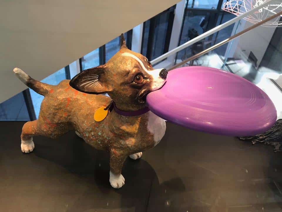 Museu do Cachorro em Nova York é um paraíso na Terra para quem ama cães