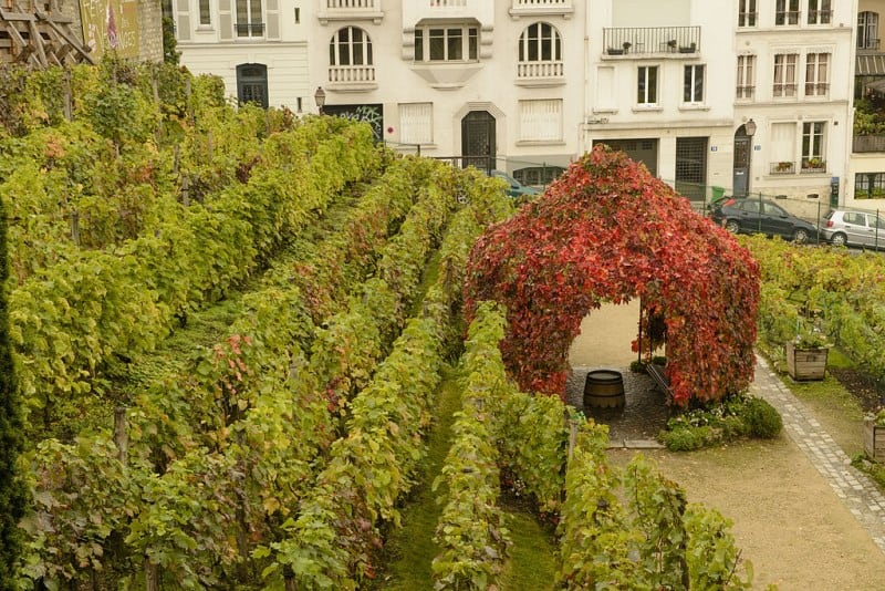 11 lugares secretos em Paris para sair do roteiro de passeios tradicionais