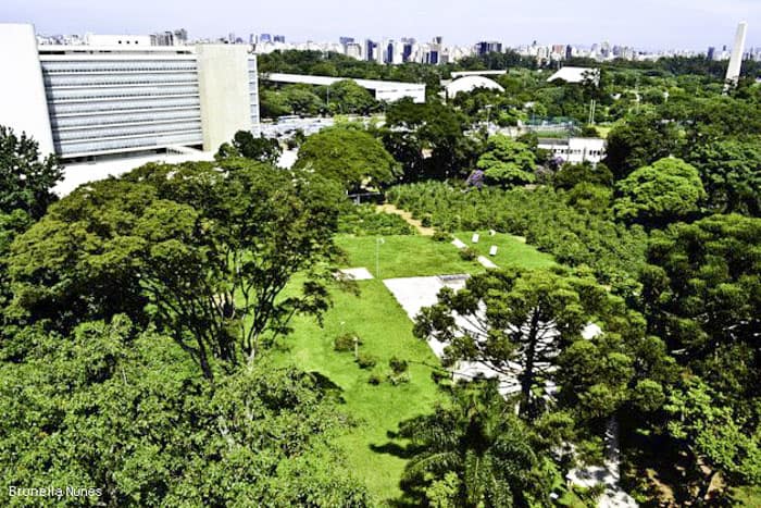 Lugares Secretos Em SP: Venha Descobrir Uma Outra São Paulo Com A Gente. -  Superparking