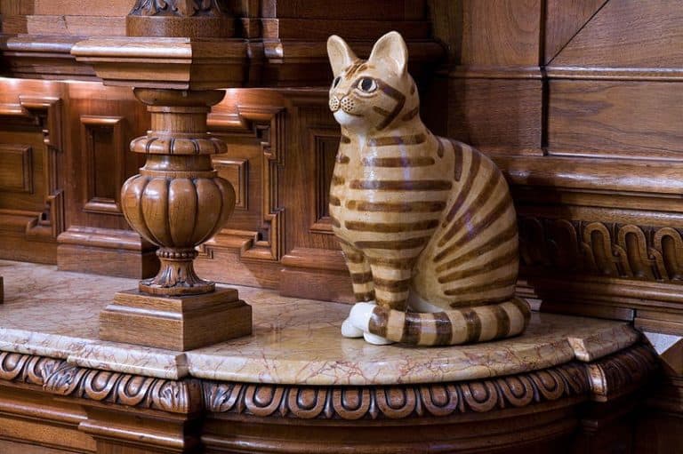 Museu dos Gatos em Amsterdã é um passeio interessante para quem ama os felinos
