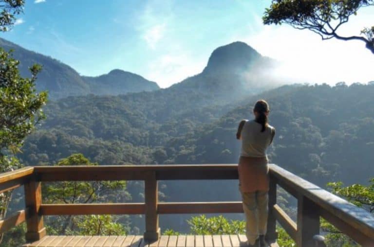 Mirante da Cascatinha: trilha pouco conhecida e linda na Floresta da Tijuca