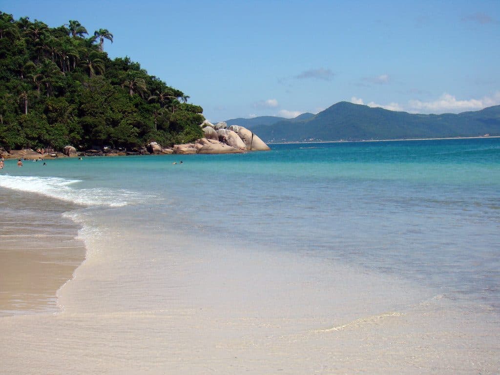 Ilha do Campeche: como visitar a ilha encantadora de Florianópolis