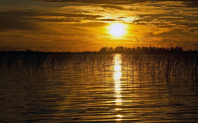 A Argentina também tem pantanal! Conheça o Esteros del Iberá