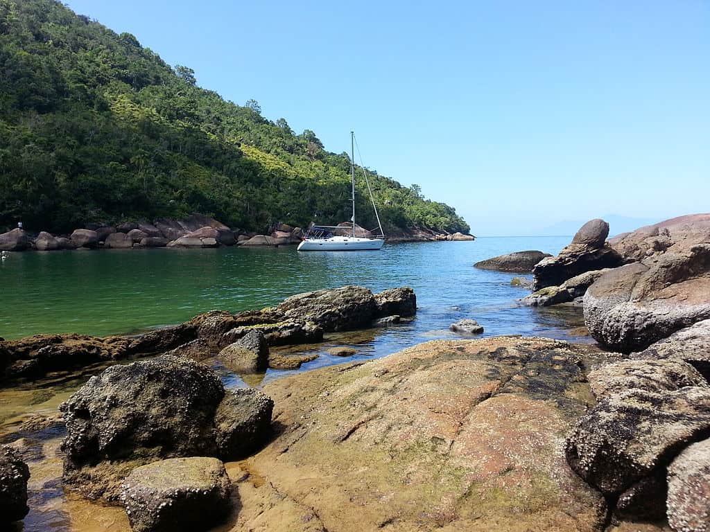 Ilha Anchieta em Ubatuba tem praias lindas e trilhas bem legais