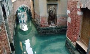 Canais de Veneza ficam cristalinos sem o turismo massivo