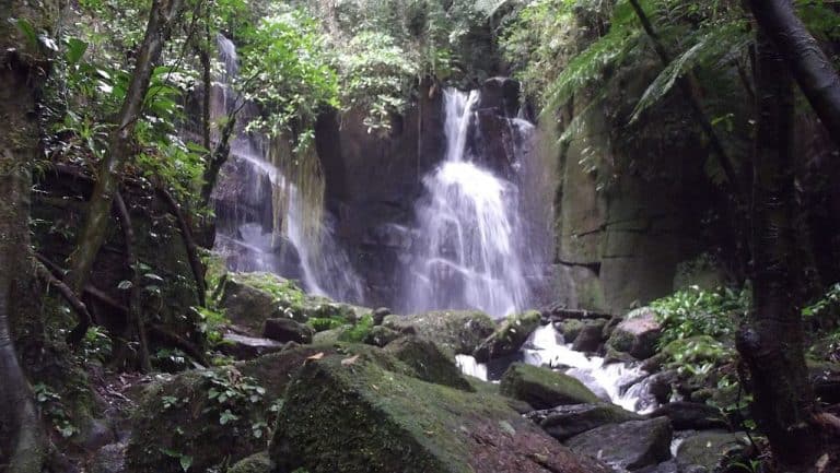 Conheça Tapiraí, destino paulista com cachoeiras incríveis em meio à Mata Atlântica