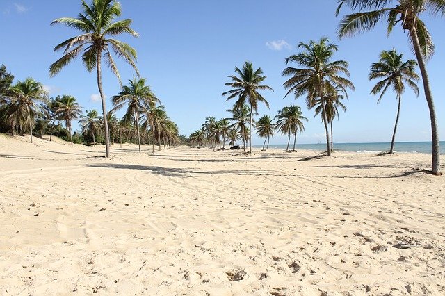 Praia em Fortaleza / Foto: Pixabay