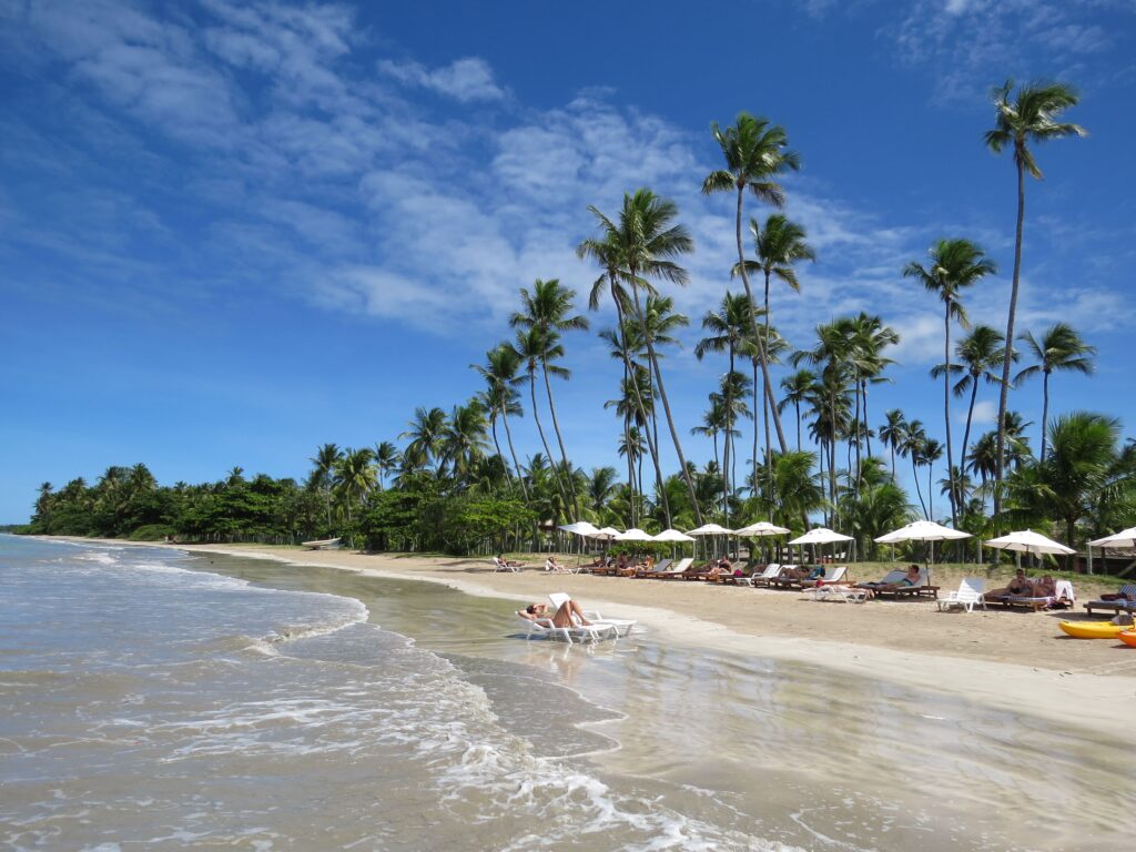 Guia: as melhores praias do Brasil para entrar no seu roteiro de viagem