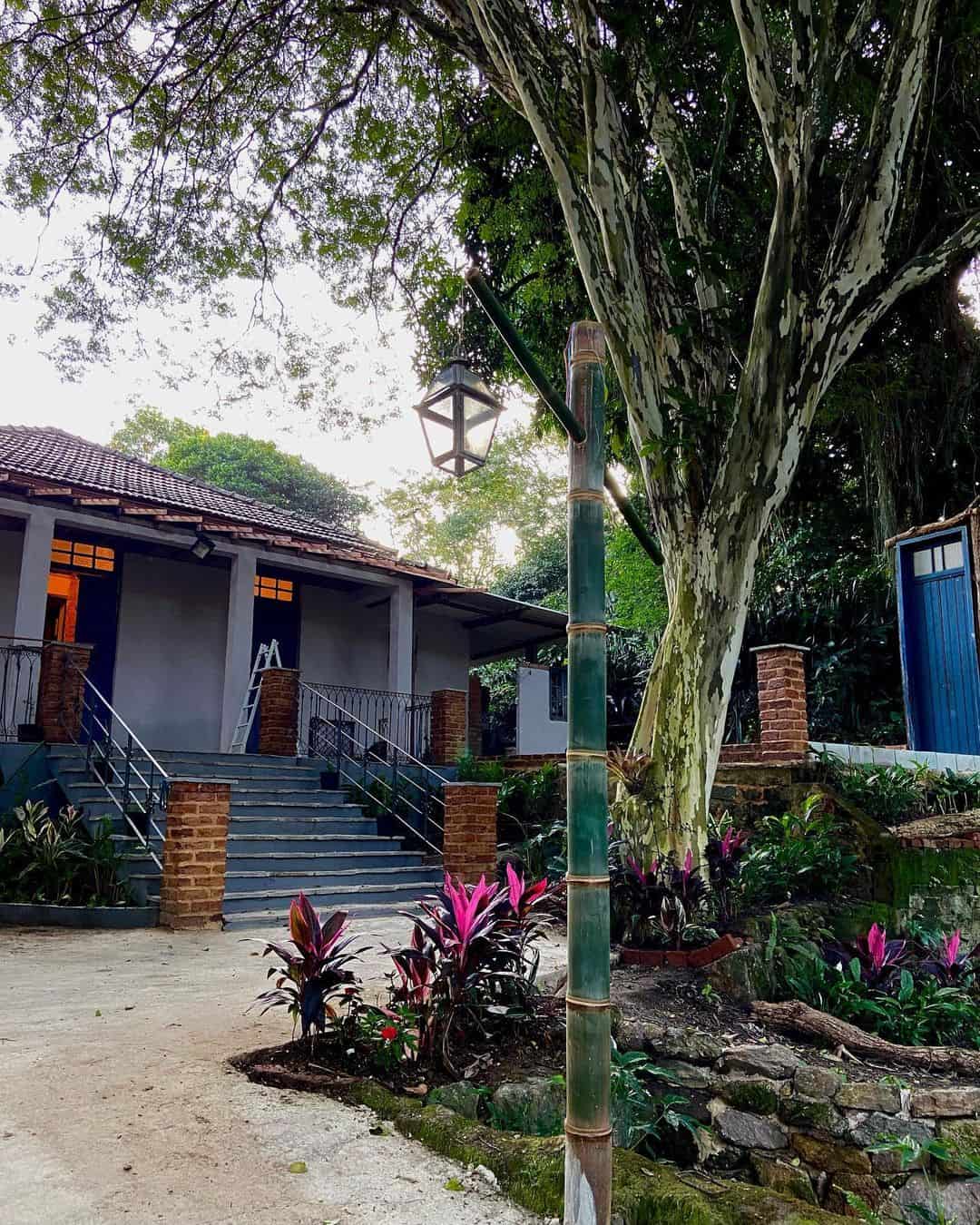 Conheça o Bistrô do Mato, novo restaurante em meio à natureza no RJ