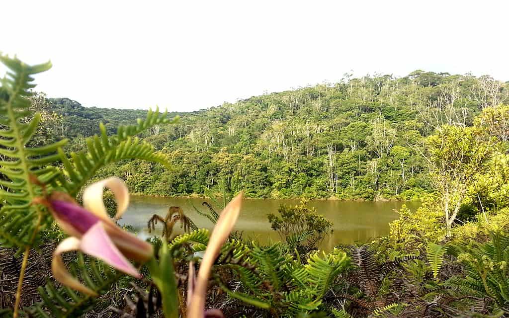 Parque Estadual Carlos Botelho: boia-cross, cachoeiras e trilhas em um só lugar
