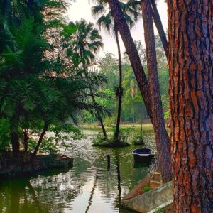 Horto Florestal: um guia completo para aproveitar o melhor do parque