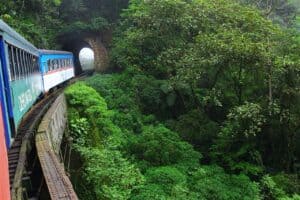 Passeio de trem Curitiba – Morretes: conheça o trajeto mais bonito do mundo