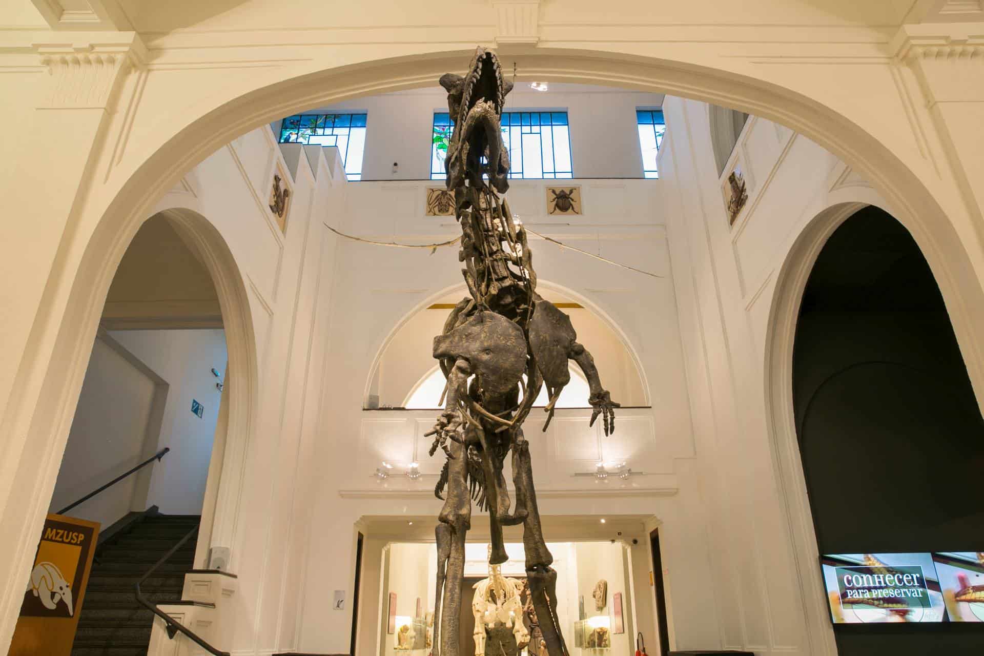 Museu de Zoologia da USP tem entrada gratuita, dinossauros, fauna brasileira e mais