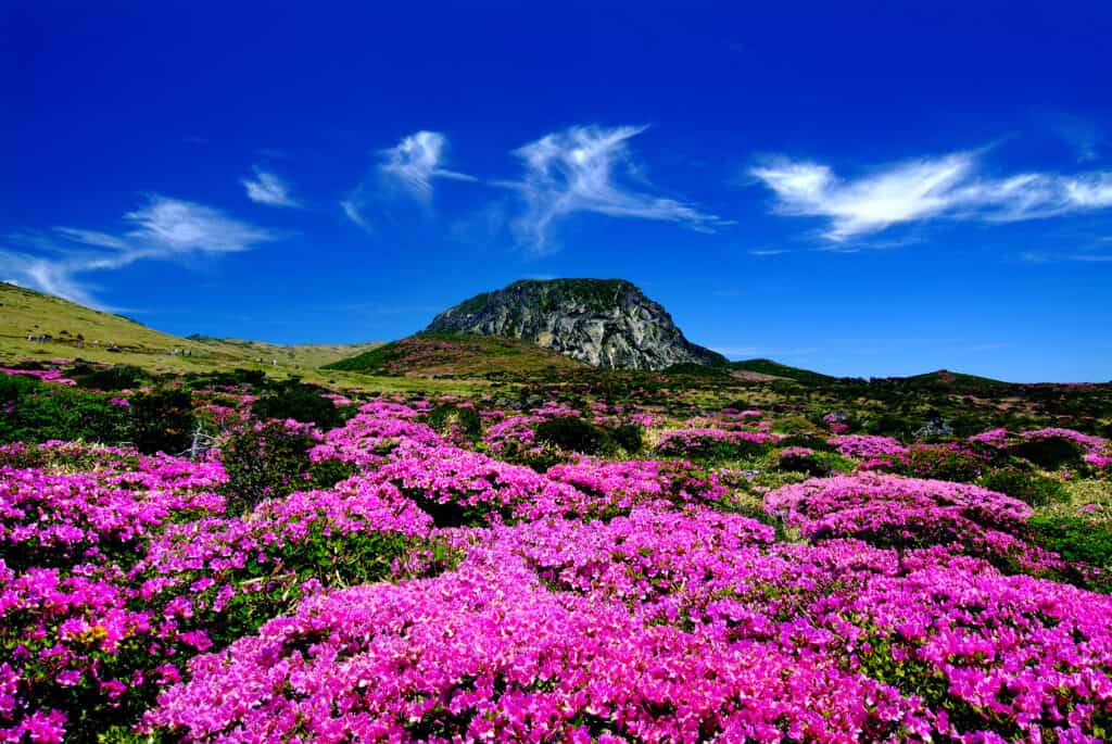 Ilha de Jeju na Coreia do Sul: guia completo sobre a Ilha dos Deuses 