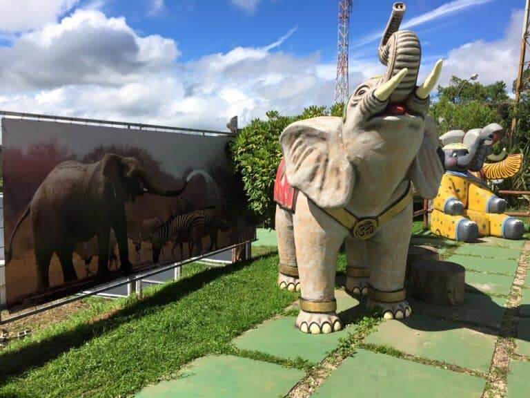 Parque dos Elefantes: atração em Campos do Jordão promete diversão para toda a família