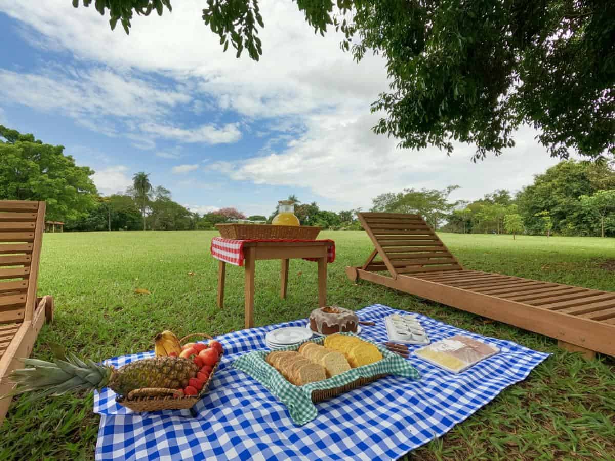 Hotel fazenda pet friendly em SP: viagem com a família completa
