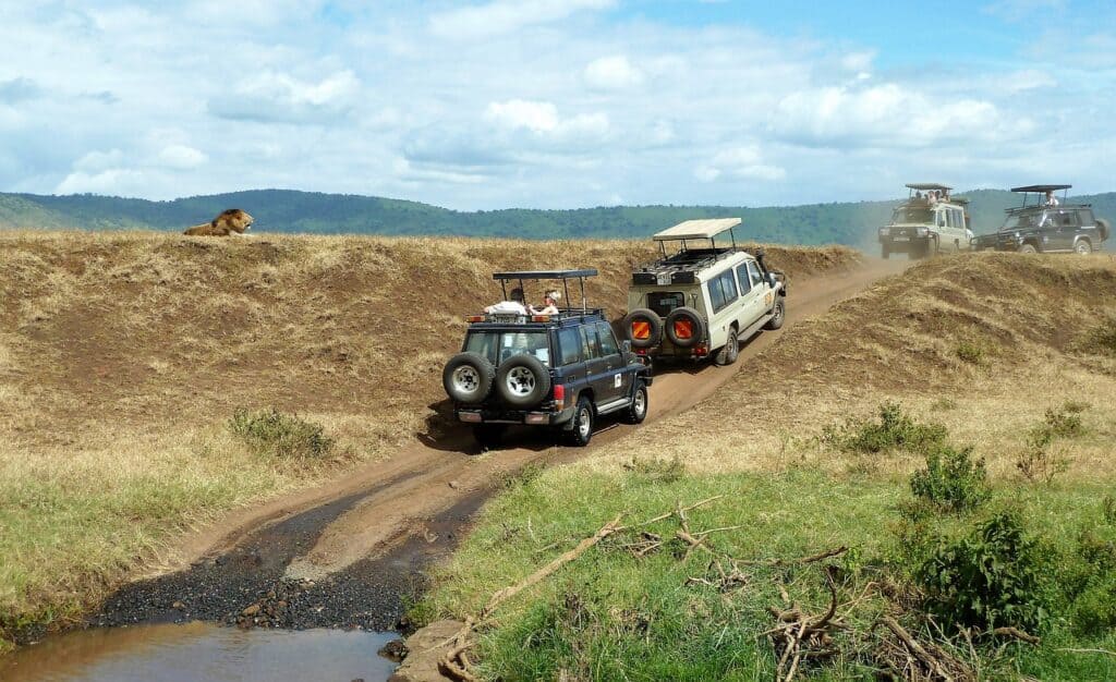 Safári na África do Sul