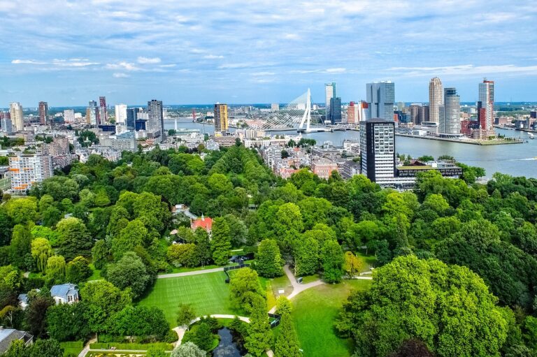 Guia de Roterdã: o que fazer, onde ficar e como aproveitar a cidade moderna da Holanda