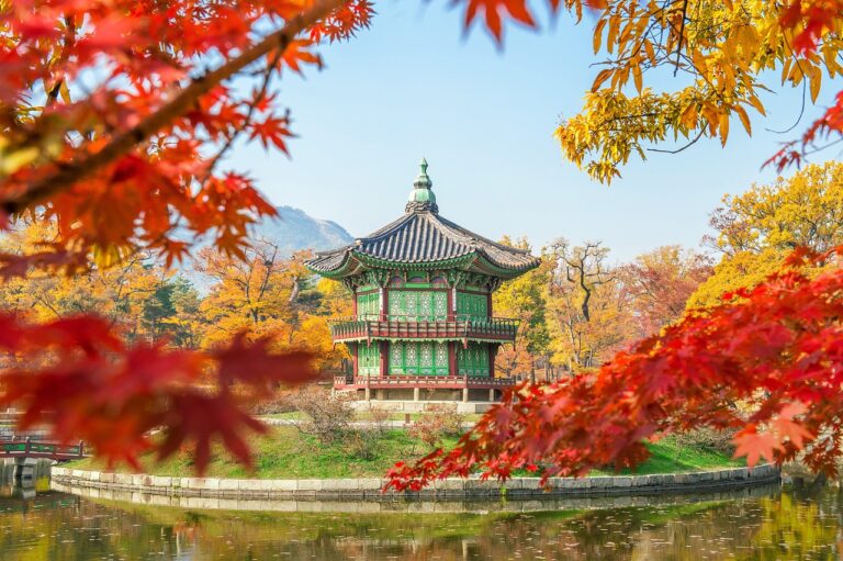 Roteiro de viagem pela Coreia do Sul: 15 dias entre tradição e paisagens únicas