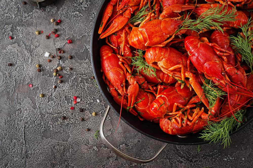 alimentação em Cartagena