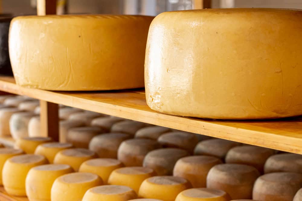 alimentação em Coimbra