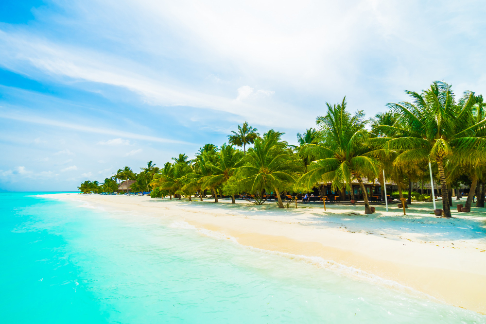 Passeios em Cancún
